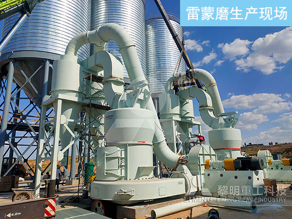 升級(jí)款雷蒙磨生產(chǎn)現(xiàn)場